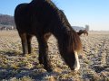 Winter1011 (23)